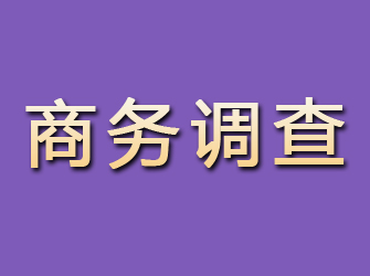 武夷山商务调查